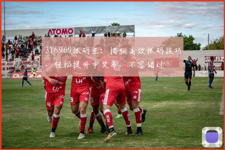 316969抓码王：揭秘高效抓码技巧，轻松提升中奖率，不容错过