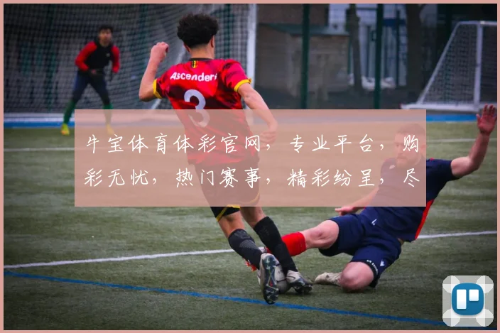 牛宝体育体彩官网，专业平台，购彩无忧，热门赛事，精彩纷呈，尽在掌握